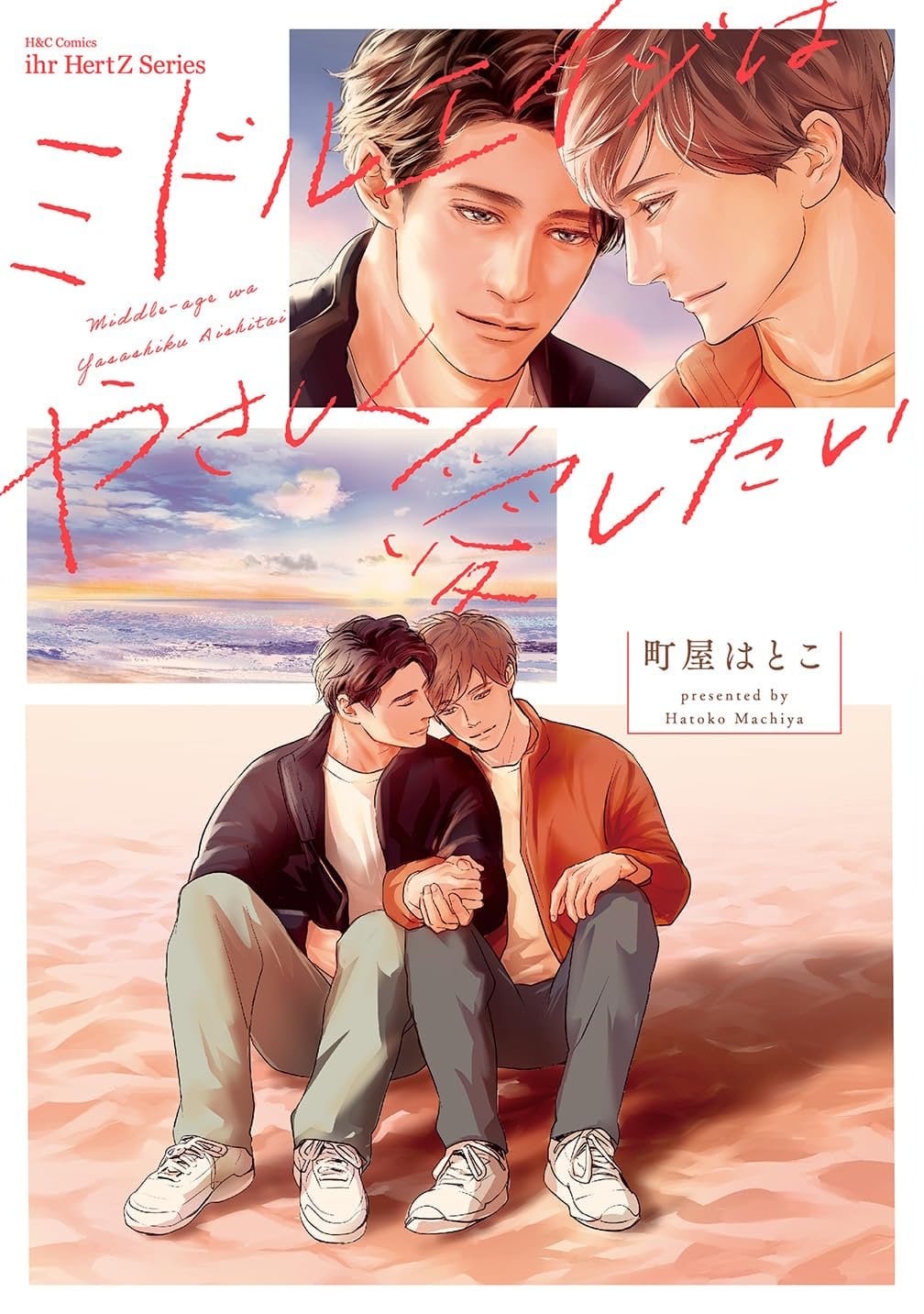 A Middle-aged Love Story - Cover